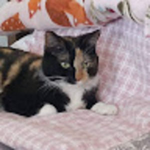 Meet your Posher, Kathy